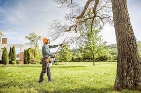 How Our Tree Care Process Works  in  La Crosse, KS